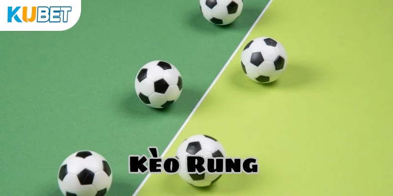 Hướng dẫn cách đọc kèo rung KUBET