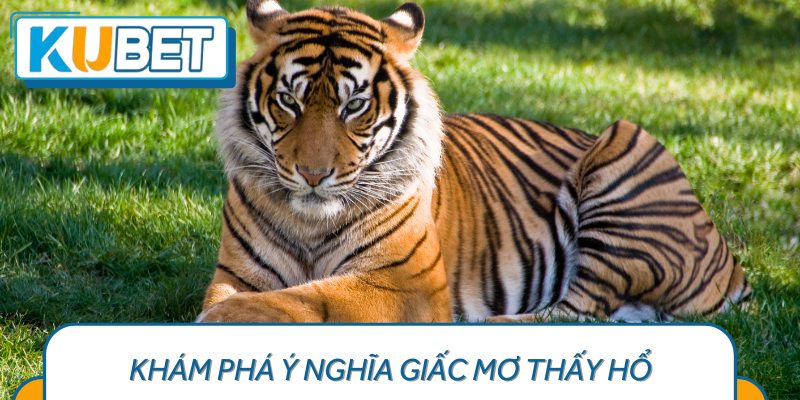 Ý nghĩa tượng trưng của hình ảnh hổ trong giấc mơ.