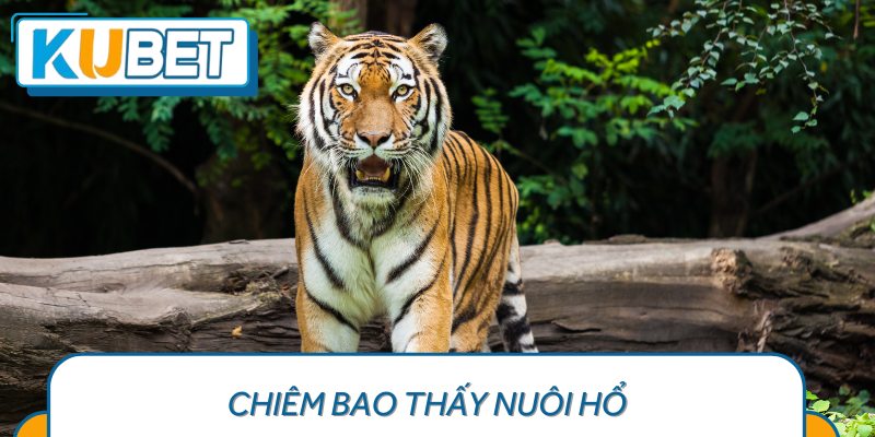 Nhận biết và tránh xa những mối quan hệ độc hại.