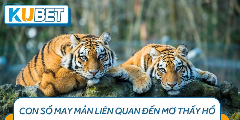 Dự đoán những con số may mắn dựa trên nội dung giấc mơ thấy hổ.